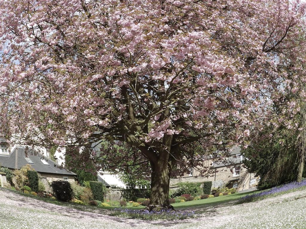 Отель Hedgefield House Ryton  Экстерьер фото